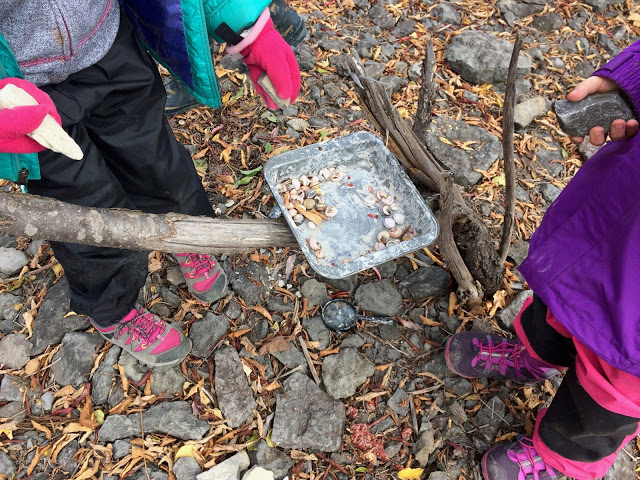 kids collecting items in forest