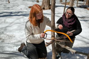 Two women kneeling in the snow, sawing a tree branch