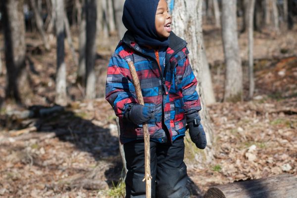 A boy stands on top of a log with a long stick in hand