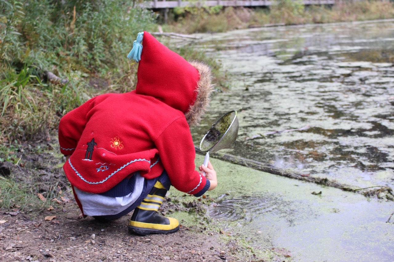 A child crouches in front of a mossy pond and looks into a strainer