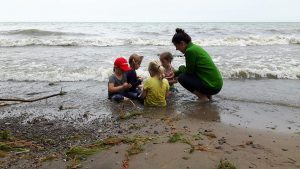 An adult and four children sit in the water on a beach shoreline