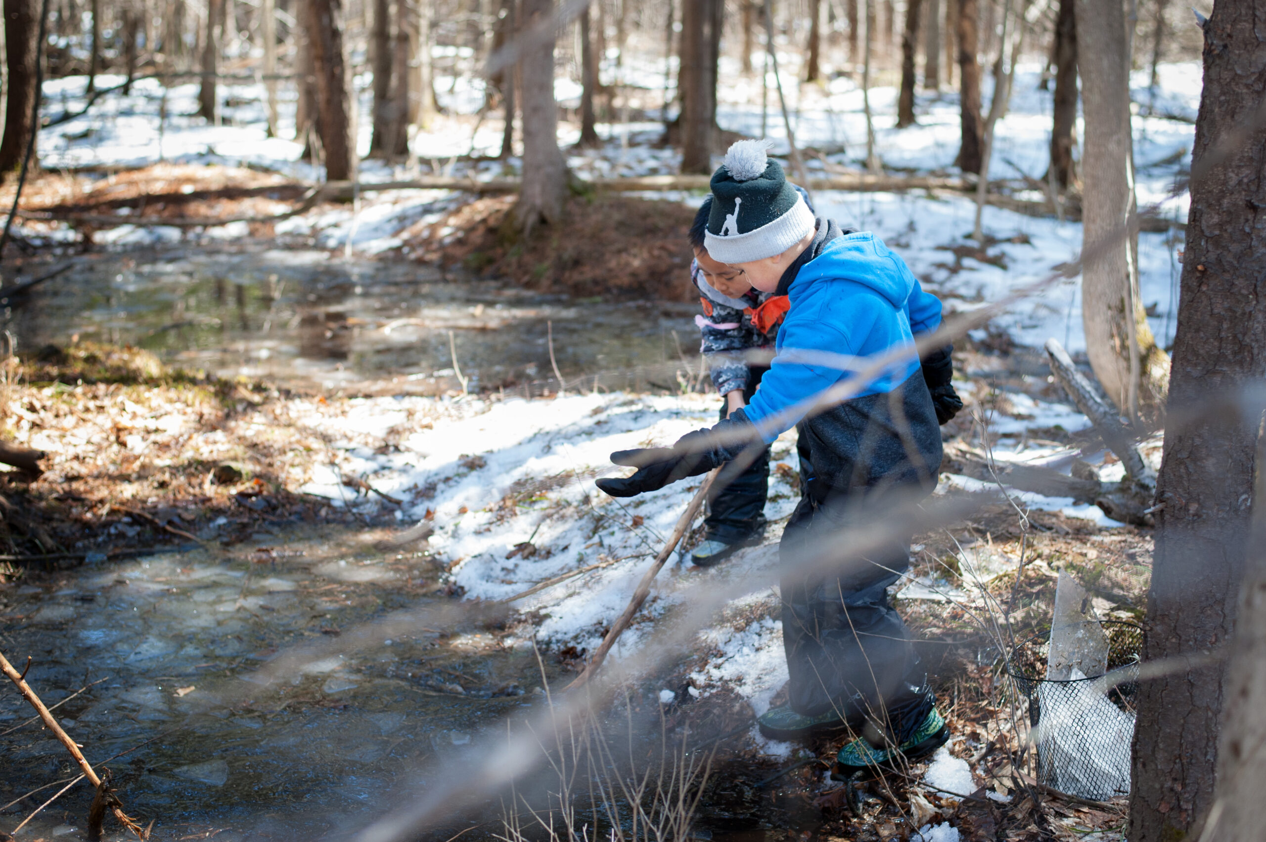 Two boys lean over a frozen pond in a forest during spring