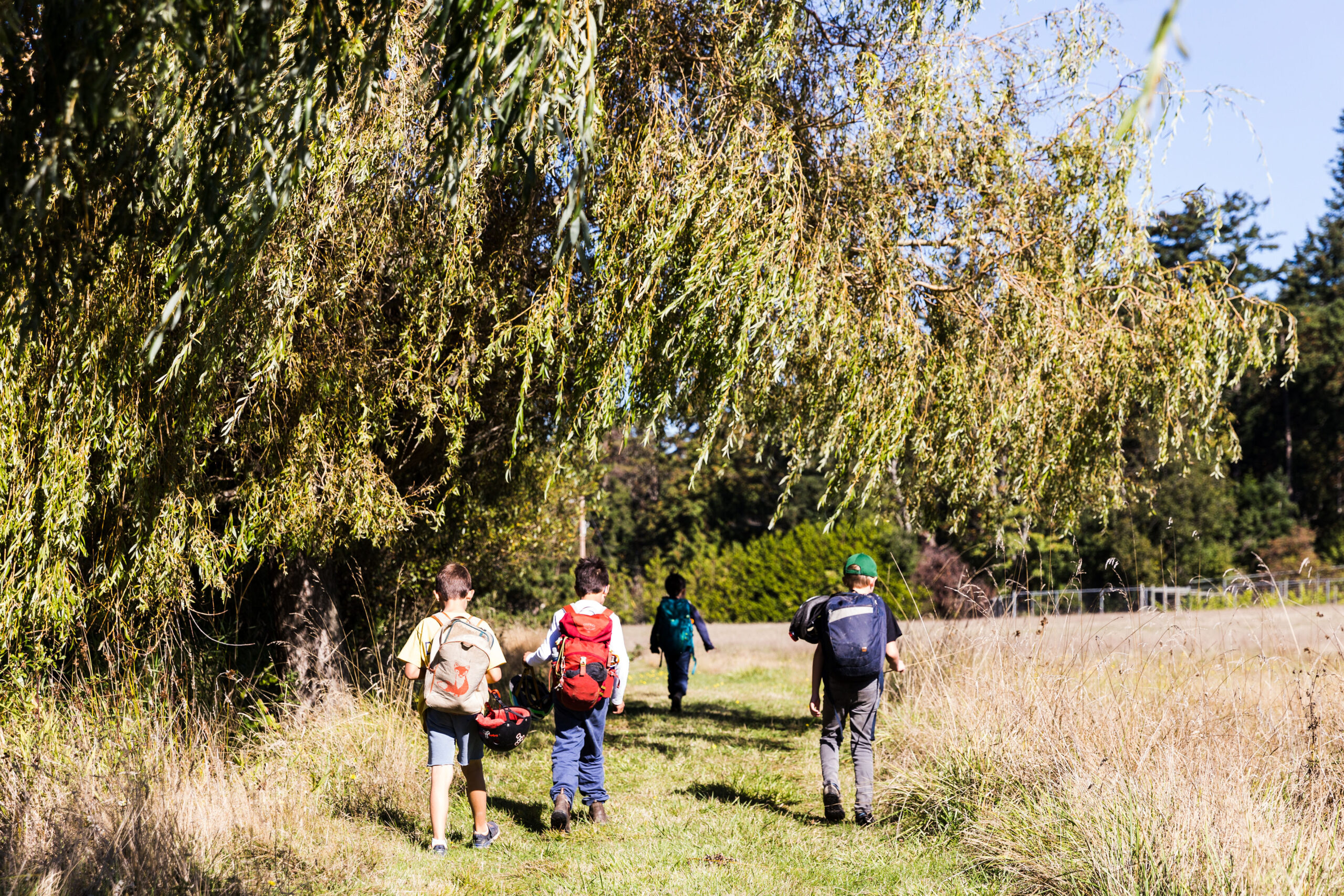 Four children walk through a grassy field on a sunny day