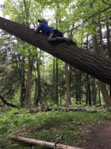 A boy climbing a tree that has fallen over